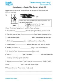 Worksheets for kids - homophones,choose_correct_word